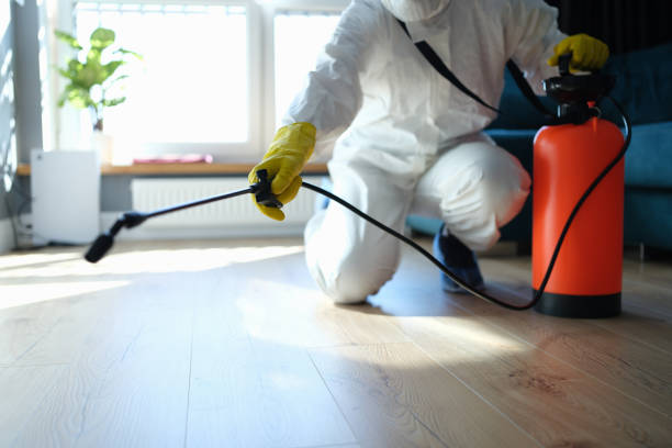 Trusted Sewage Cleanup service in Williston, SC - Four Month Blood Cleanse